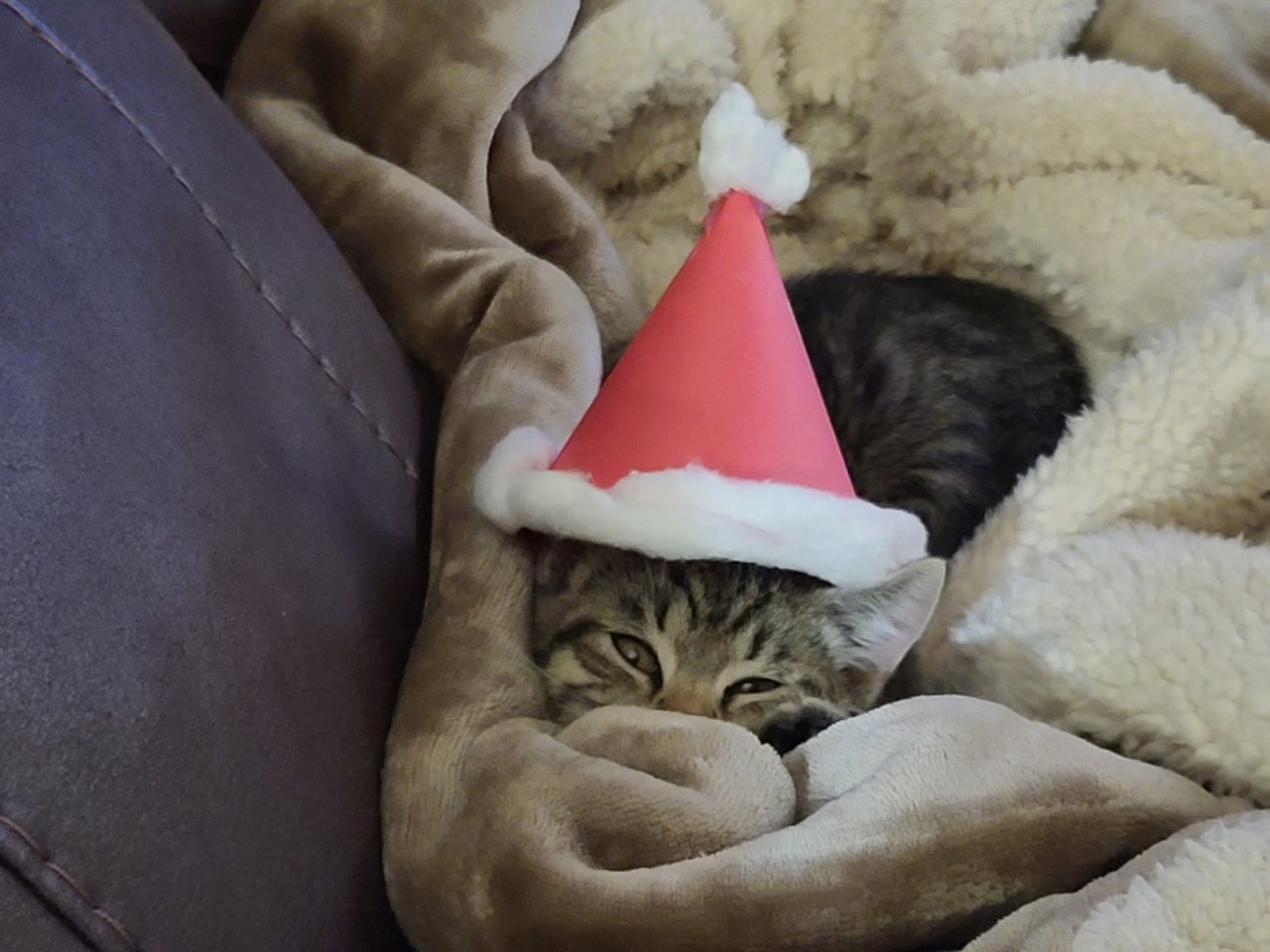 20201213_164717.jpg