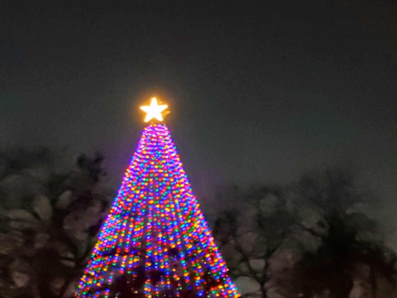 20201213_181108.jpg