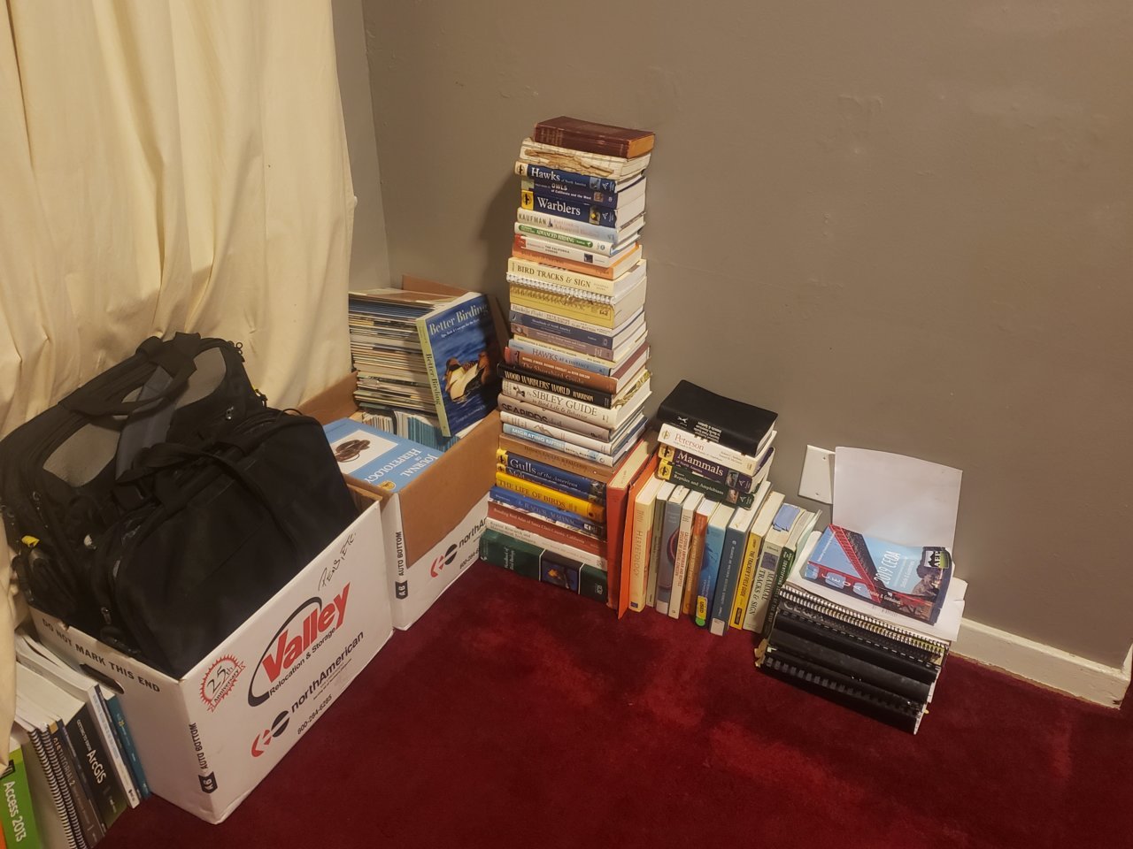 20201213_181624.jpg