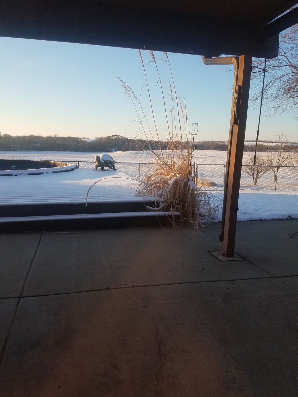20201214_080946.jpg