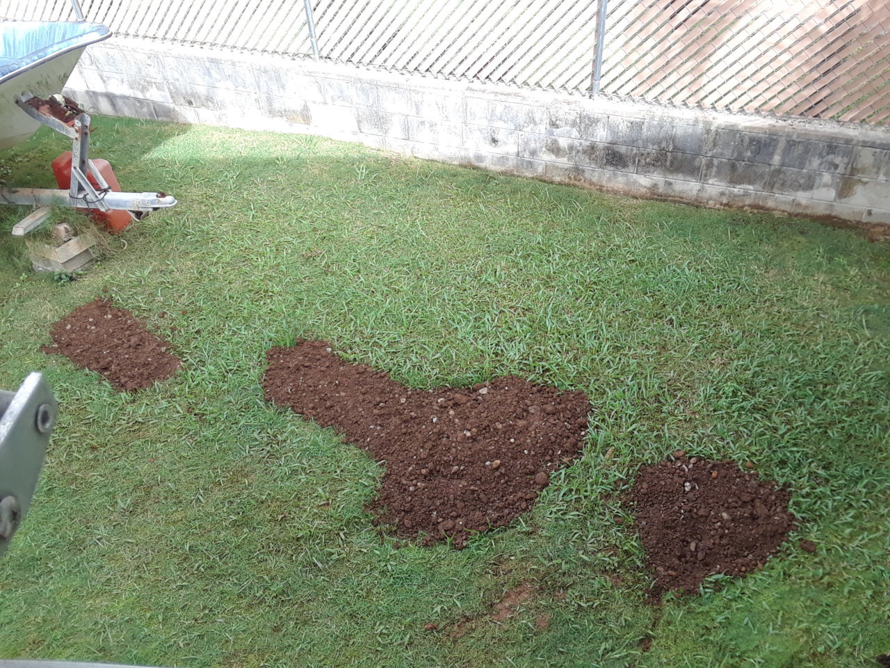 20201214_115932.jpg