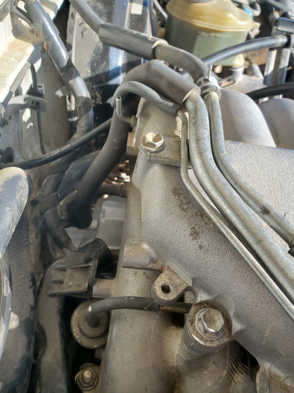 20201214_125633.jpg