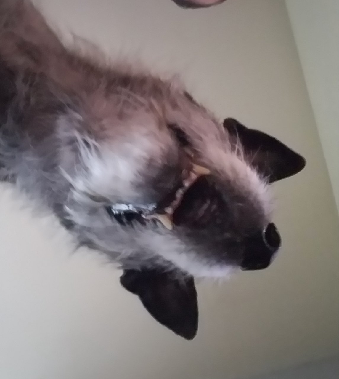 20201214_152043.jpg