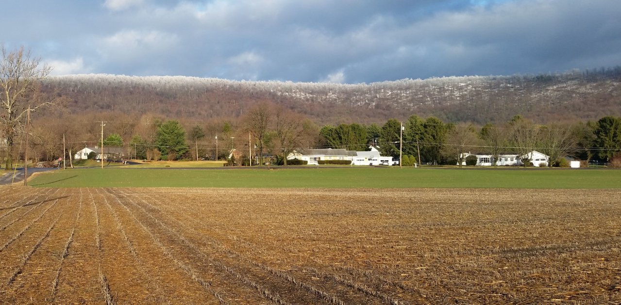 20201214_153024.jpg