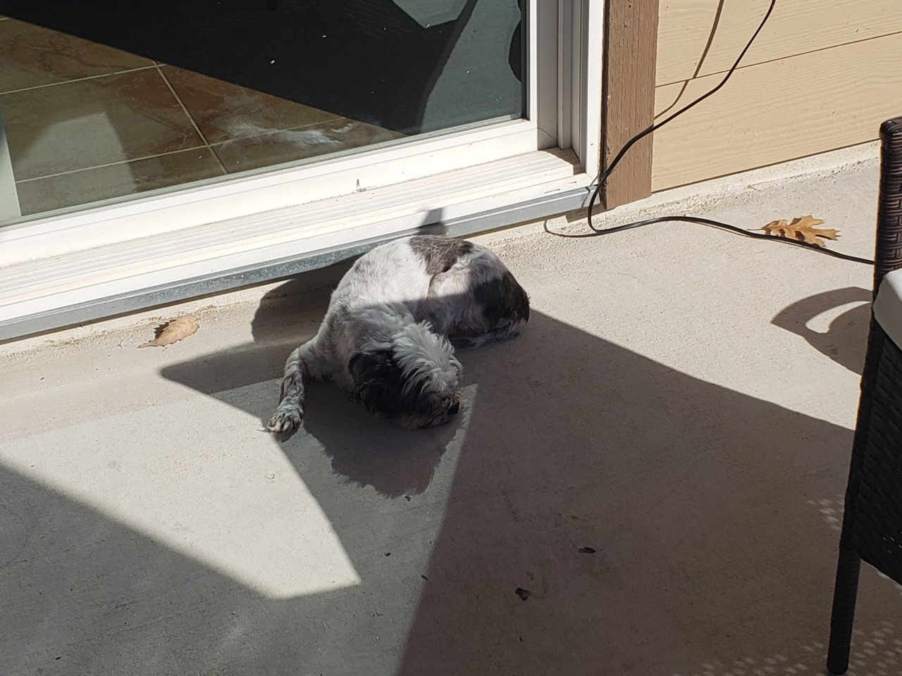 20201215_140727.jpg