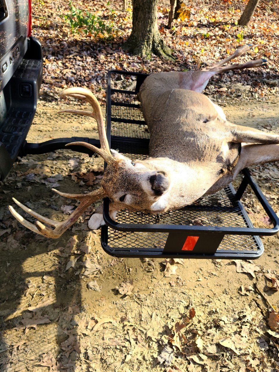 20201216_113648.jpg