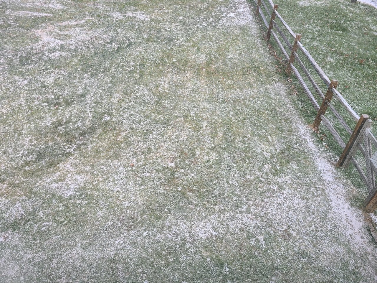 20201216_130201.jpg