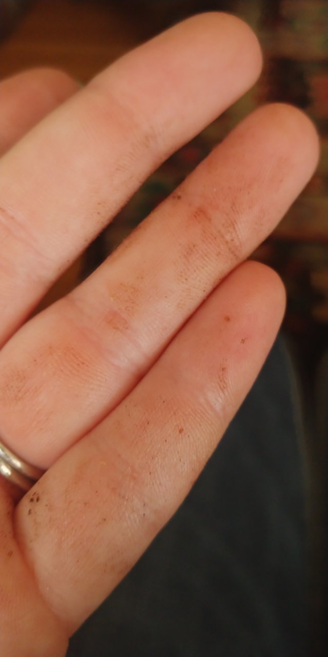 20201216_144951.jpg