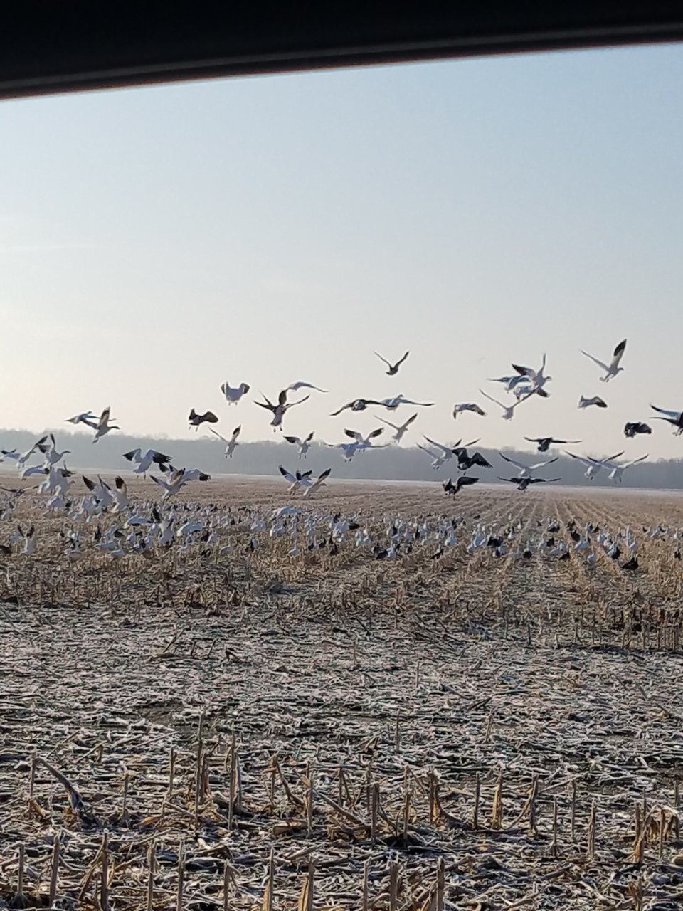 20201217_084330.jpg