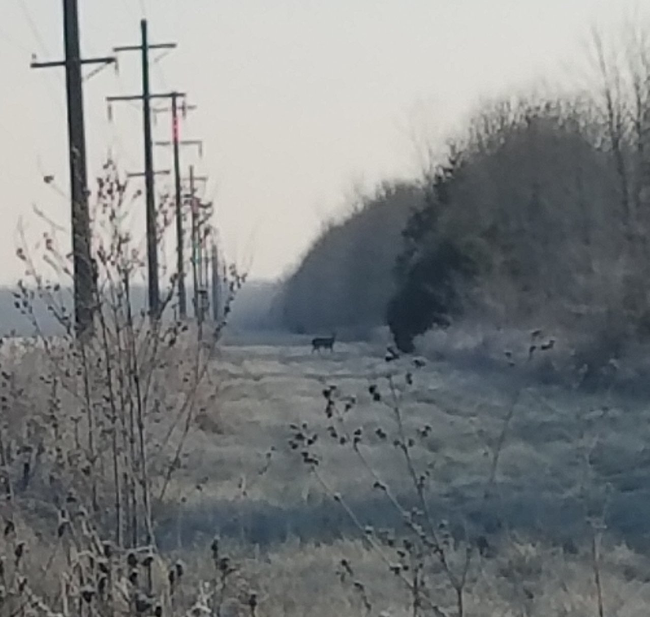 20201217_142519.jpg