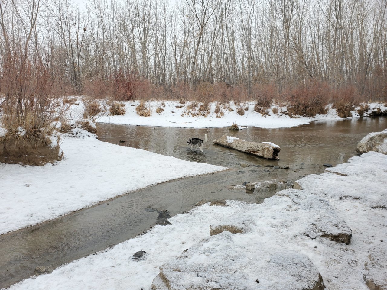 20201218_095448.jpg