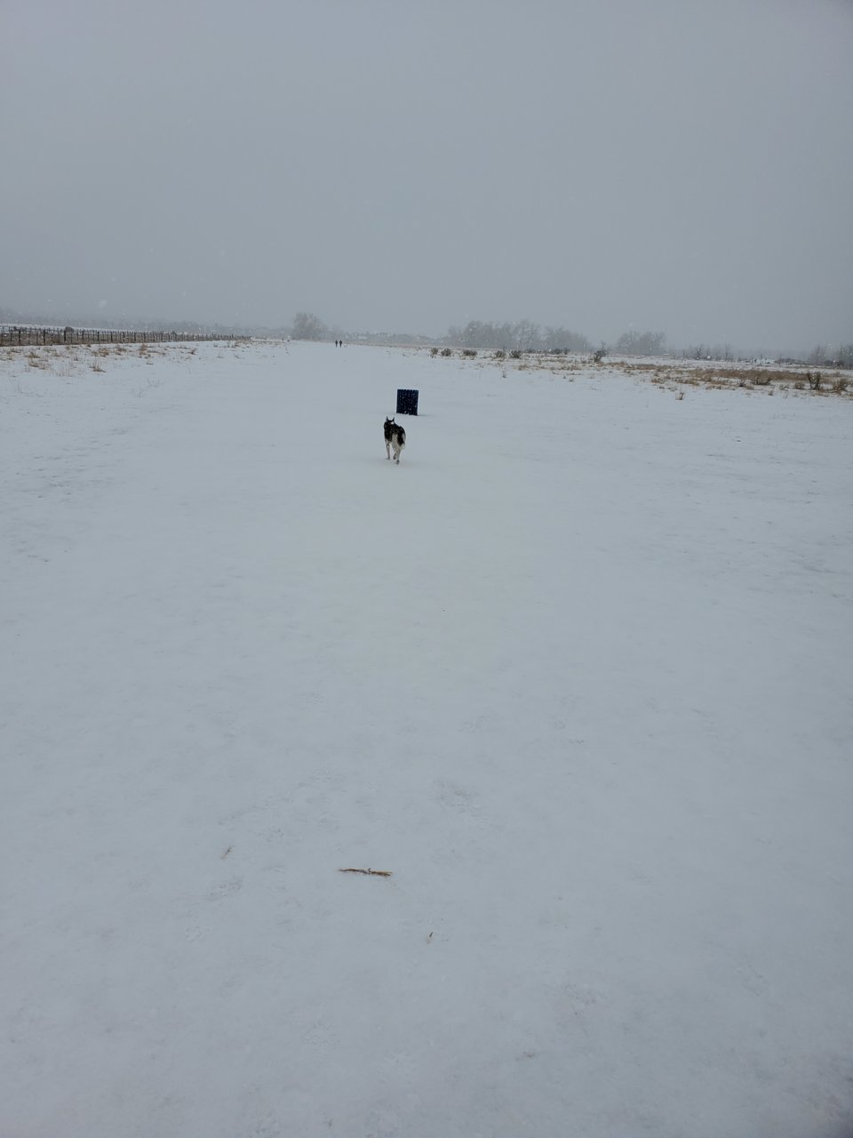 20201218_104945.jpg