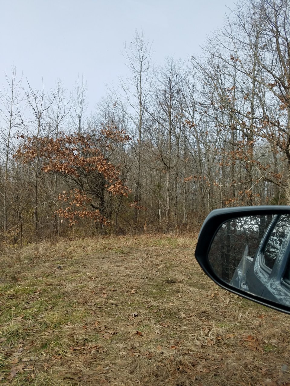 20201218_113903.jpg