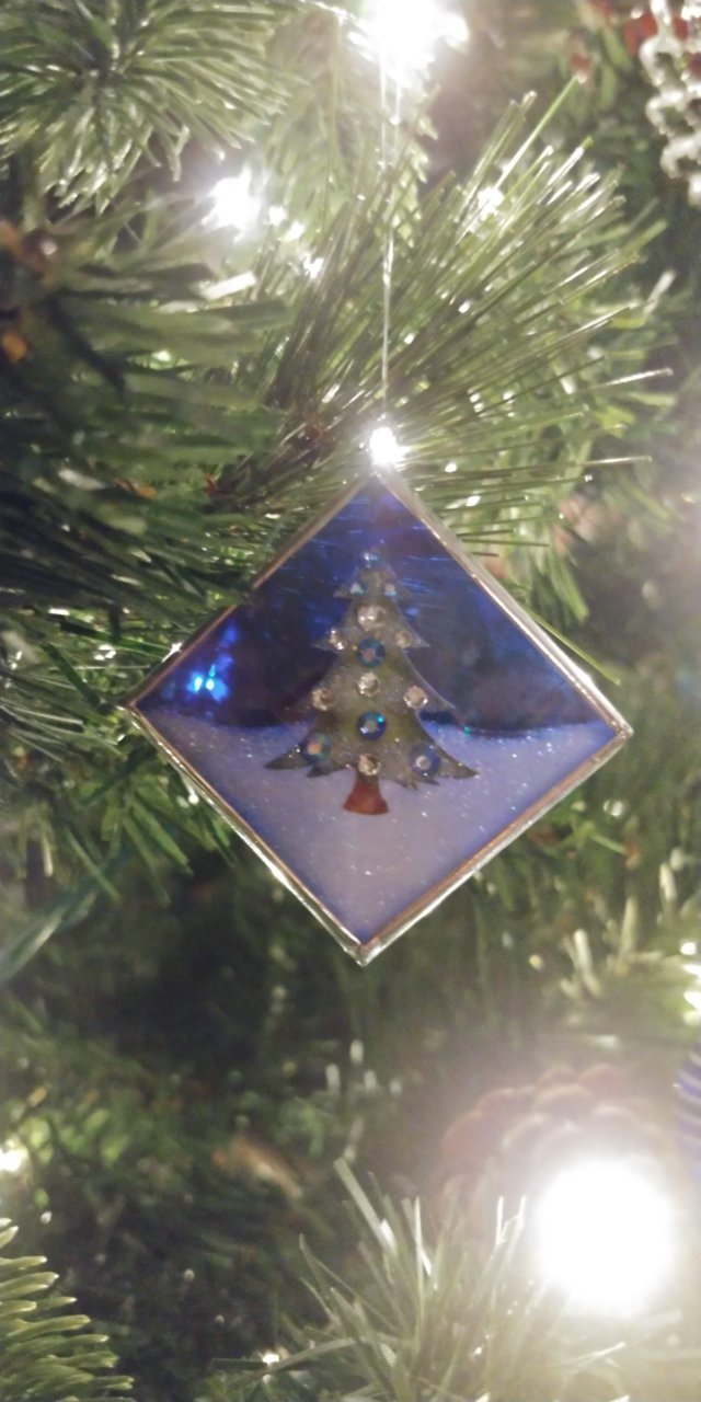 20201218_201653.jpg