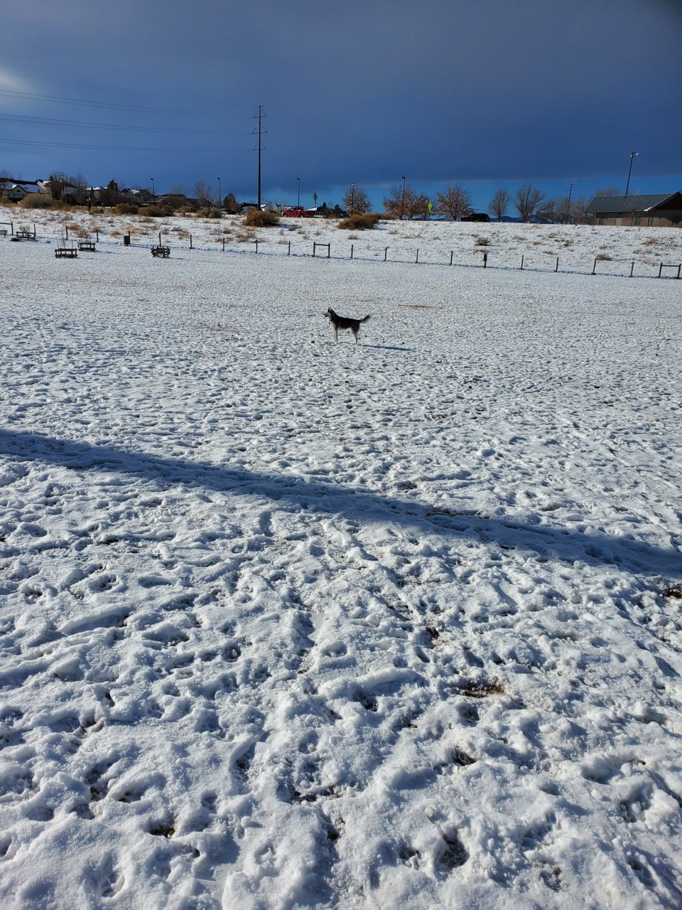 20201219_101904.jpg