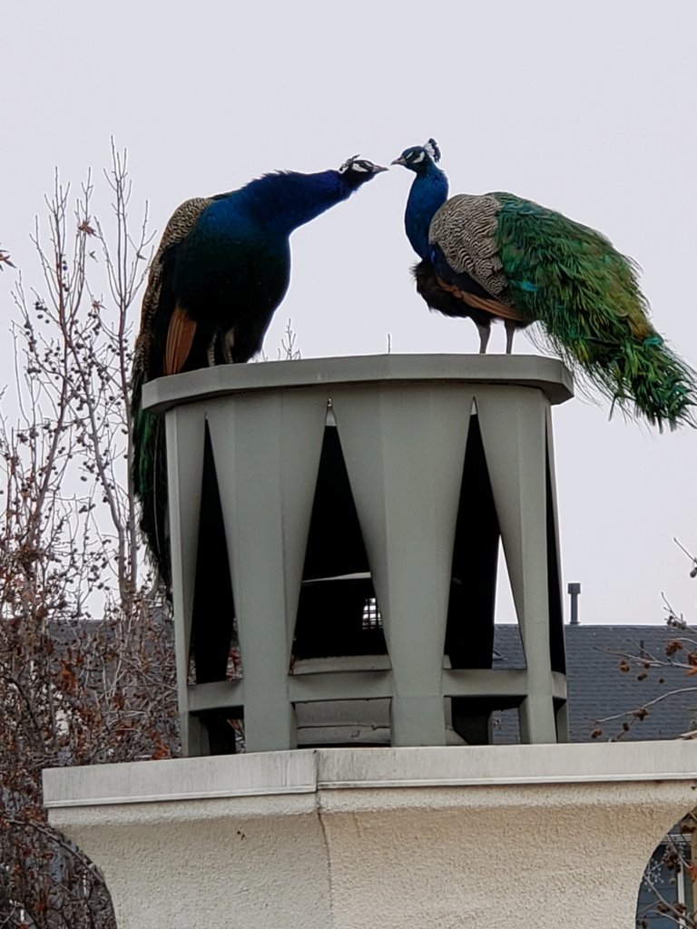 20201219_113004.jpg