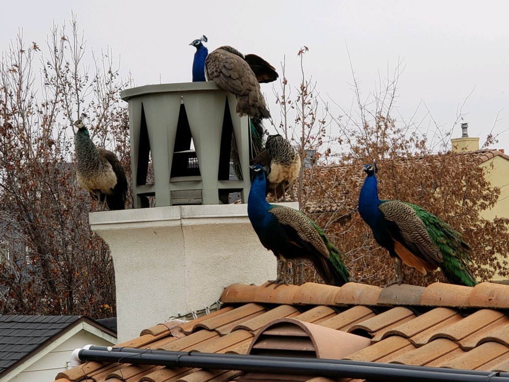 20201219_131139.jpg