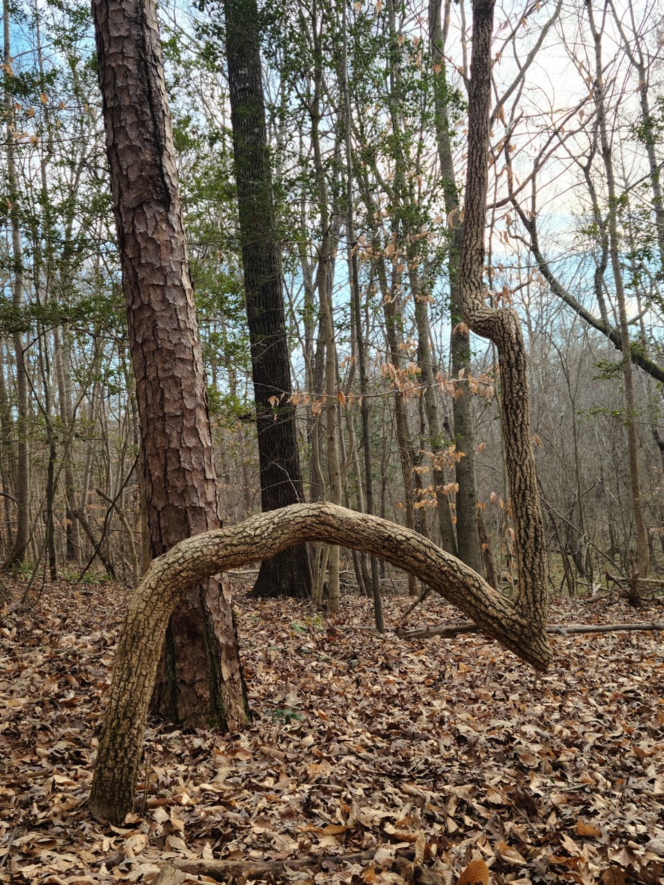 20201219_145808.jpg