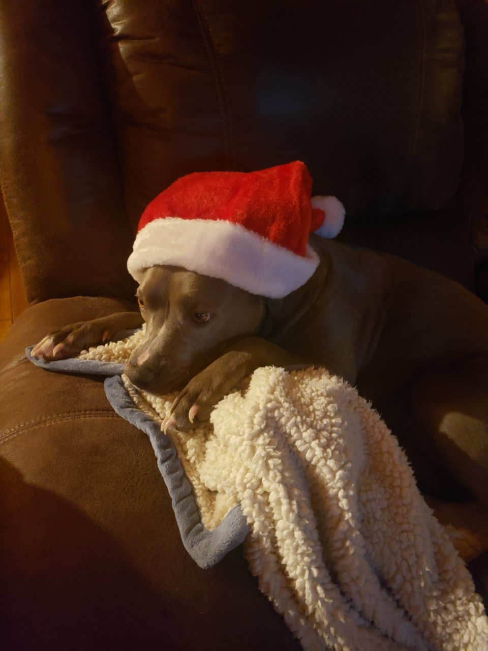 20201219_171551.jpg