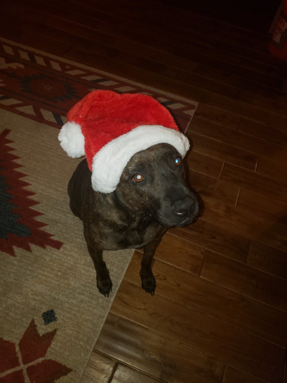 20201219_171753.jpg