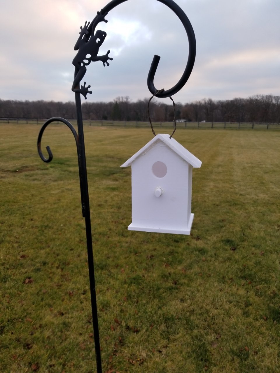 20201220_074542.jpg
