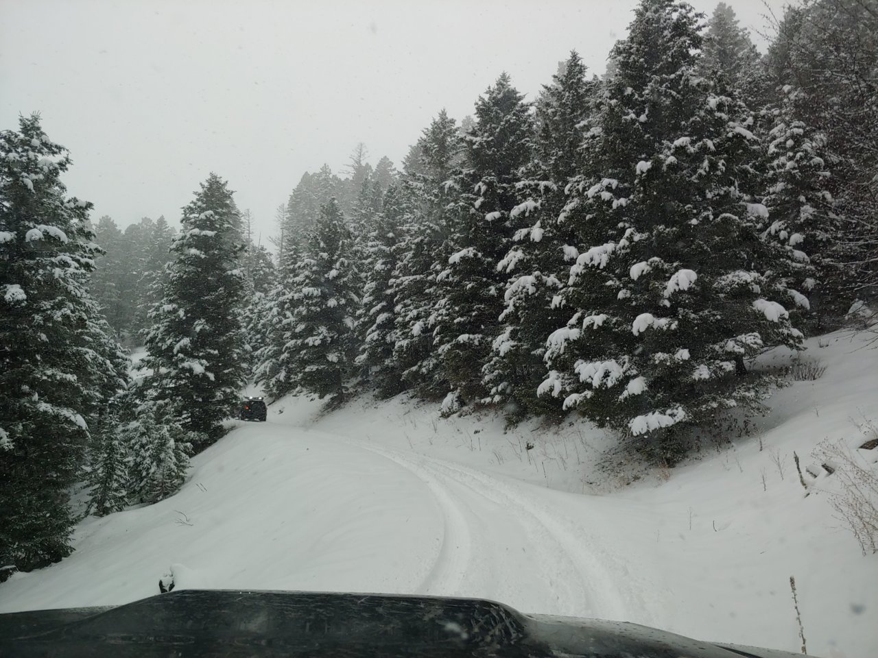 20201220_121907.jpg