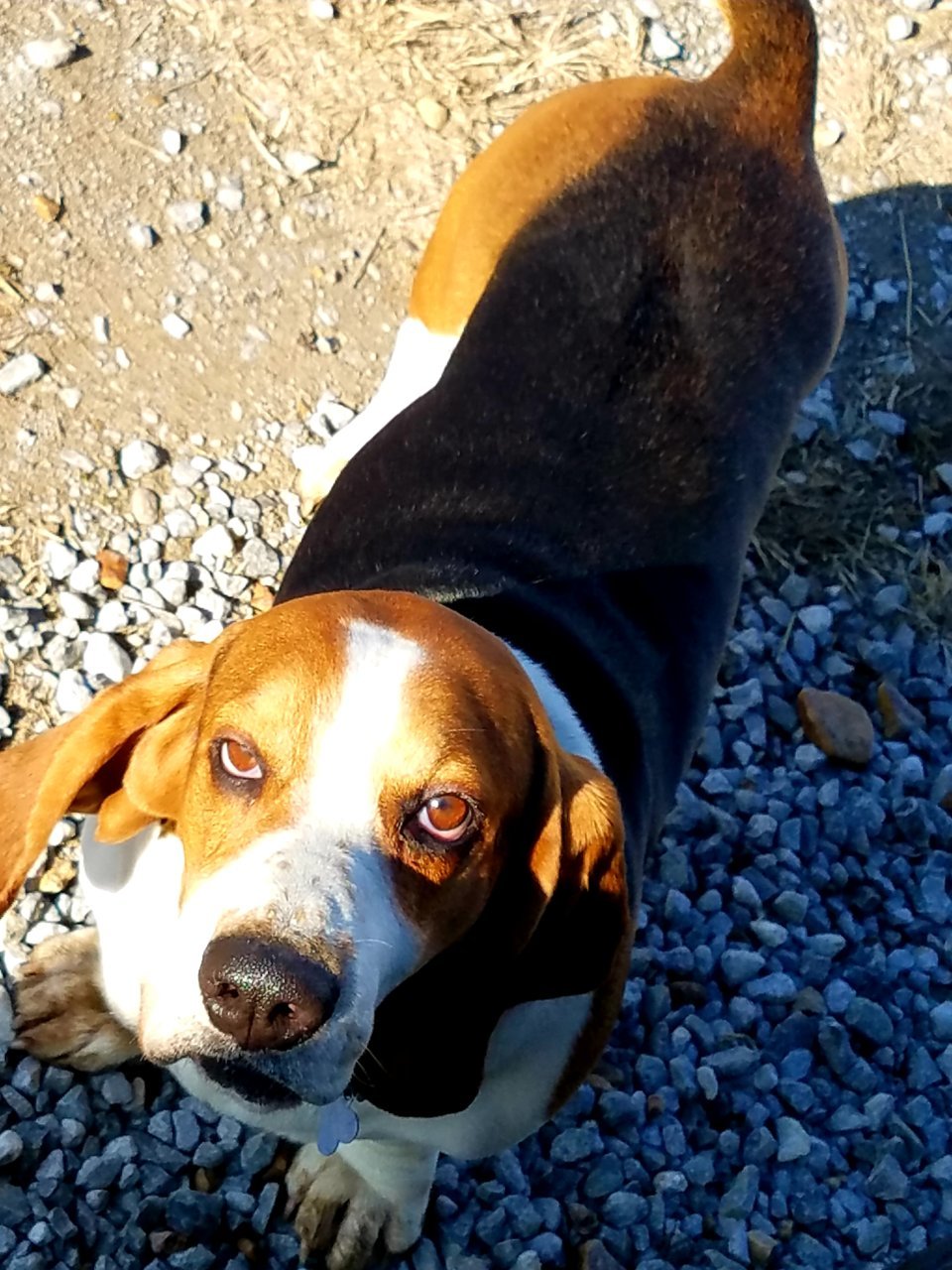 20201220_123244.jpg