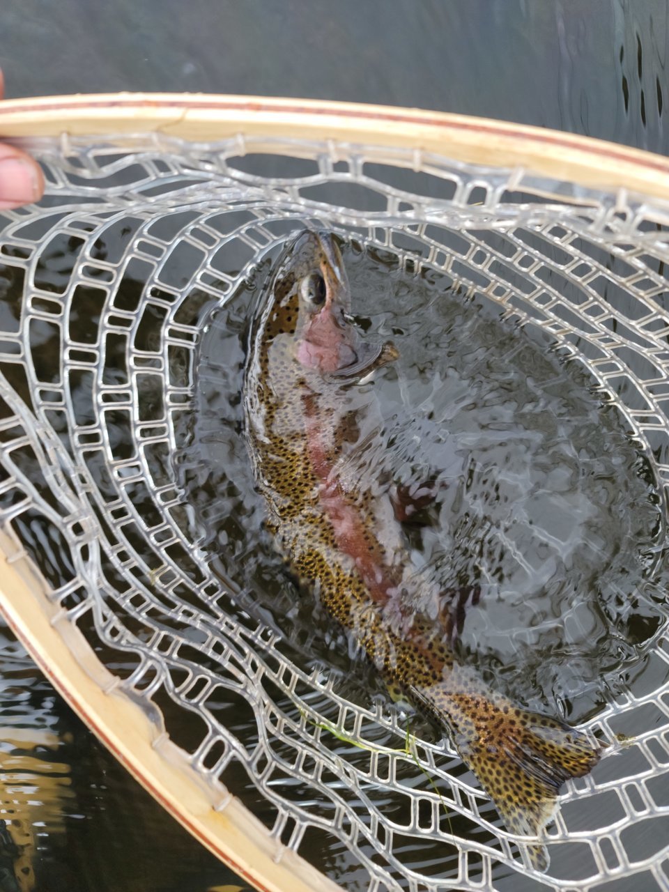 20201220_140834.jpg
