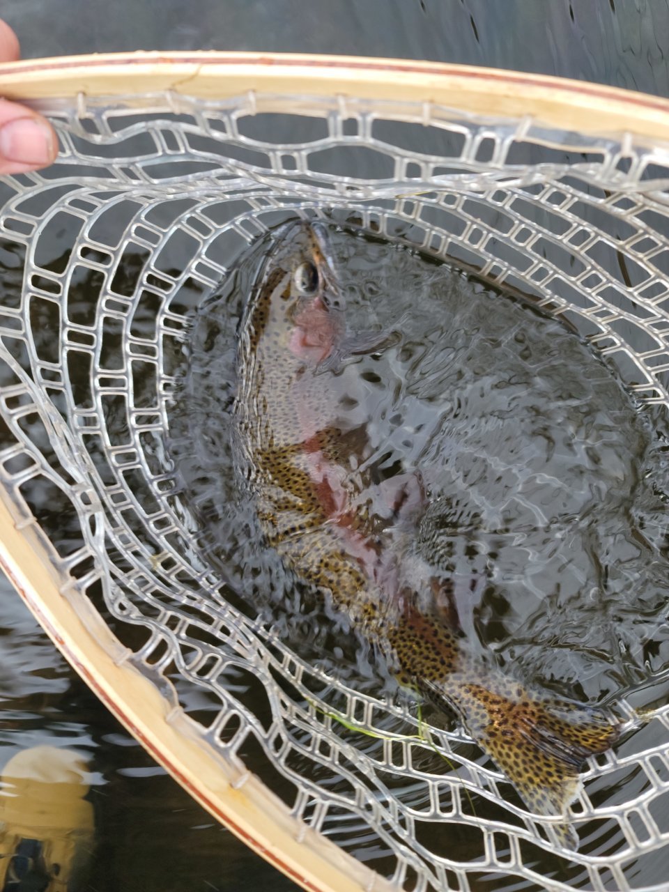 20201220_140839.jpg