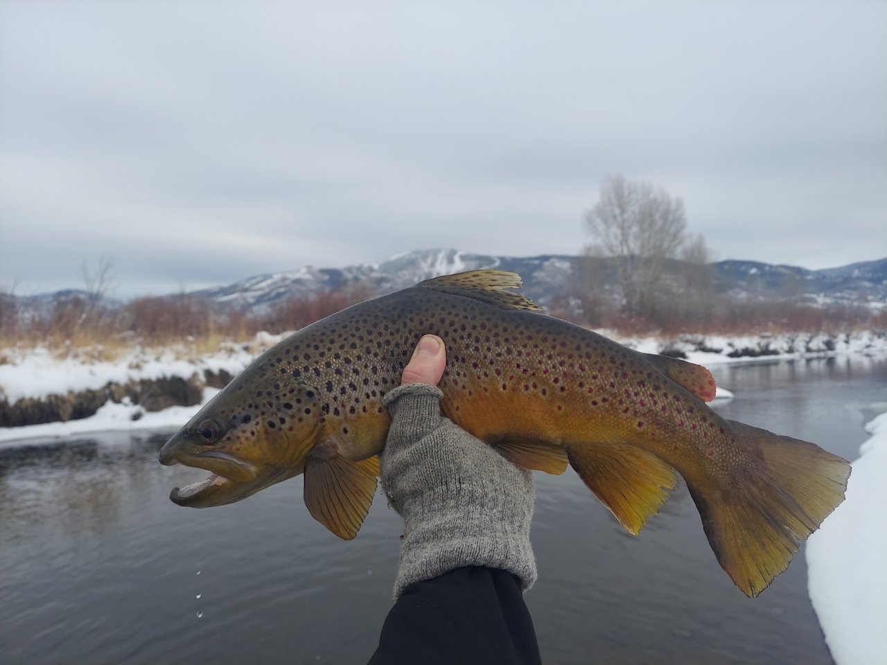 20201220_141358.jpg