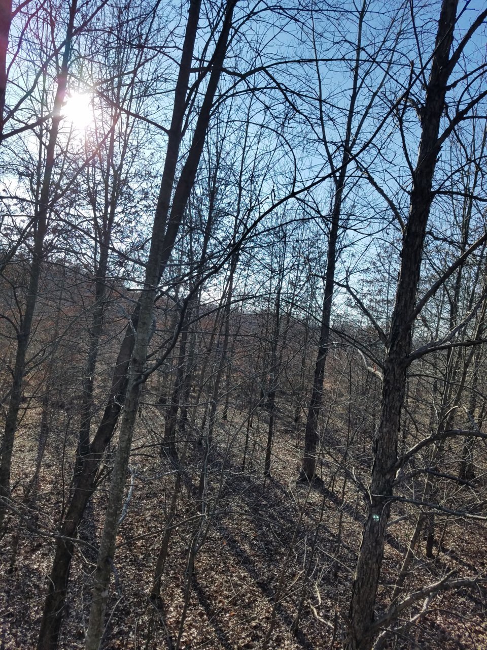 20201220_143158.jpg