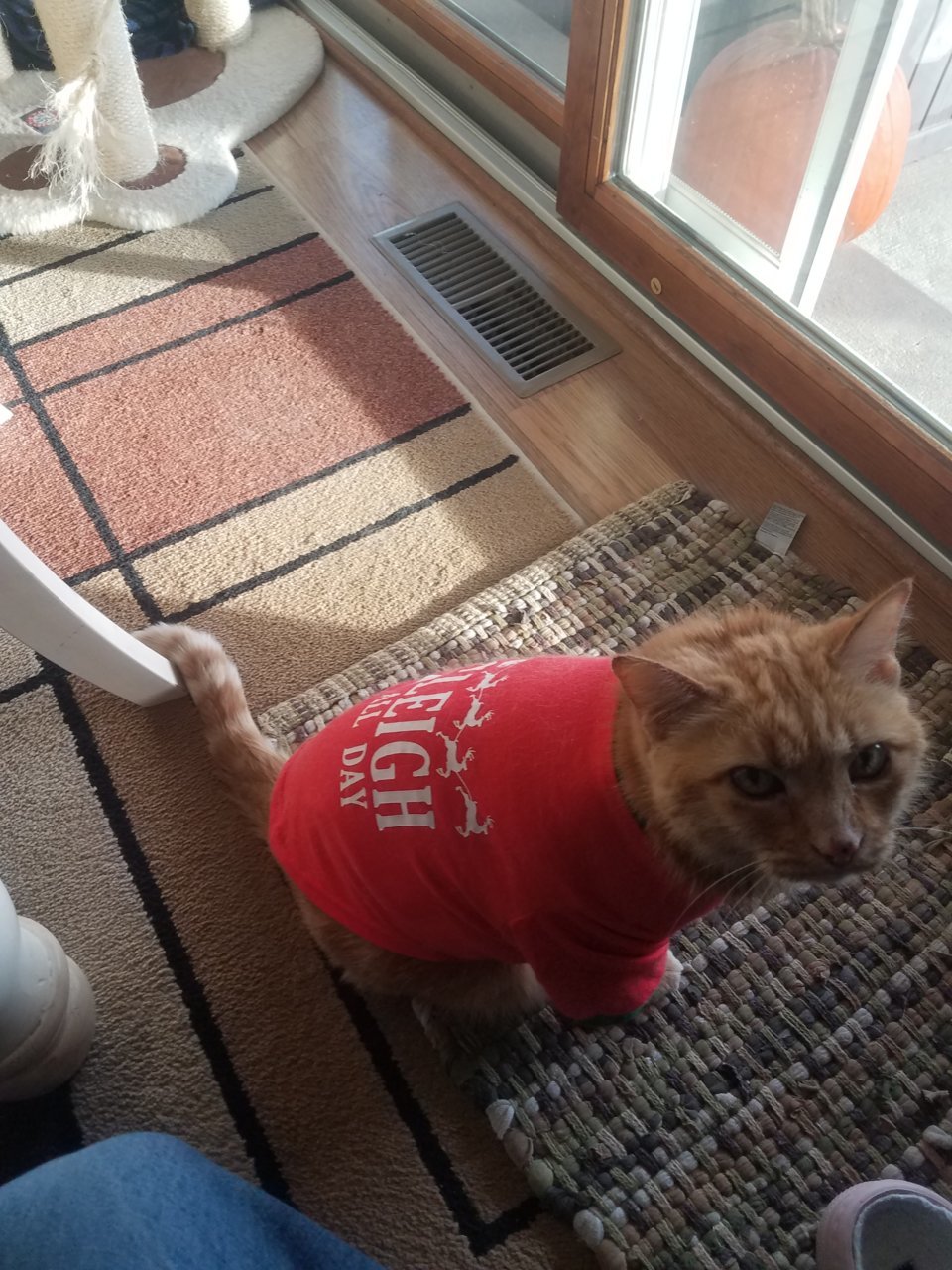 20201220_152610.jpg