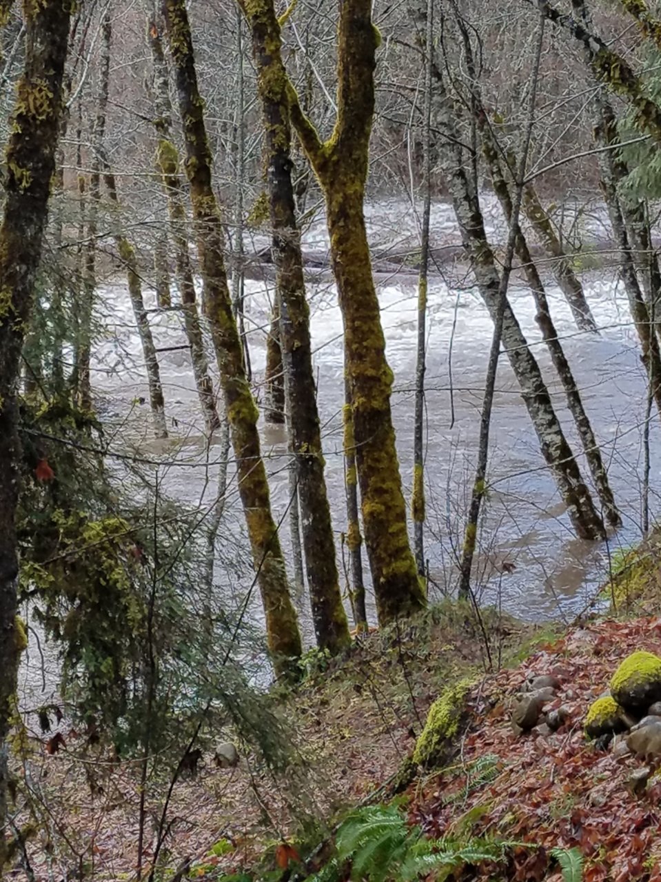 20201220_163333.jpg