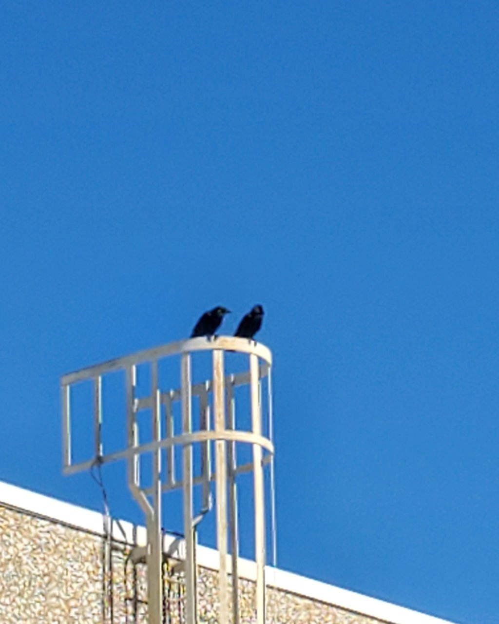 20201221_115105.jpg