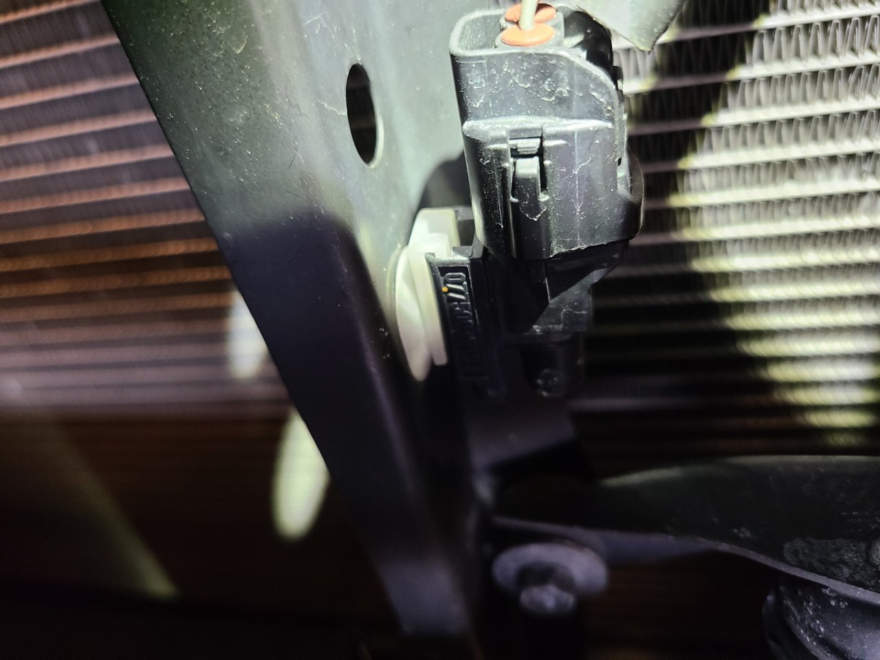 20201221_151146.jpg