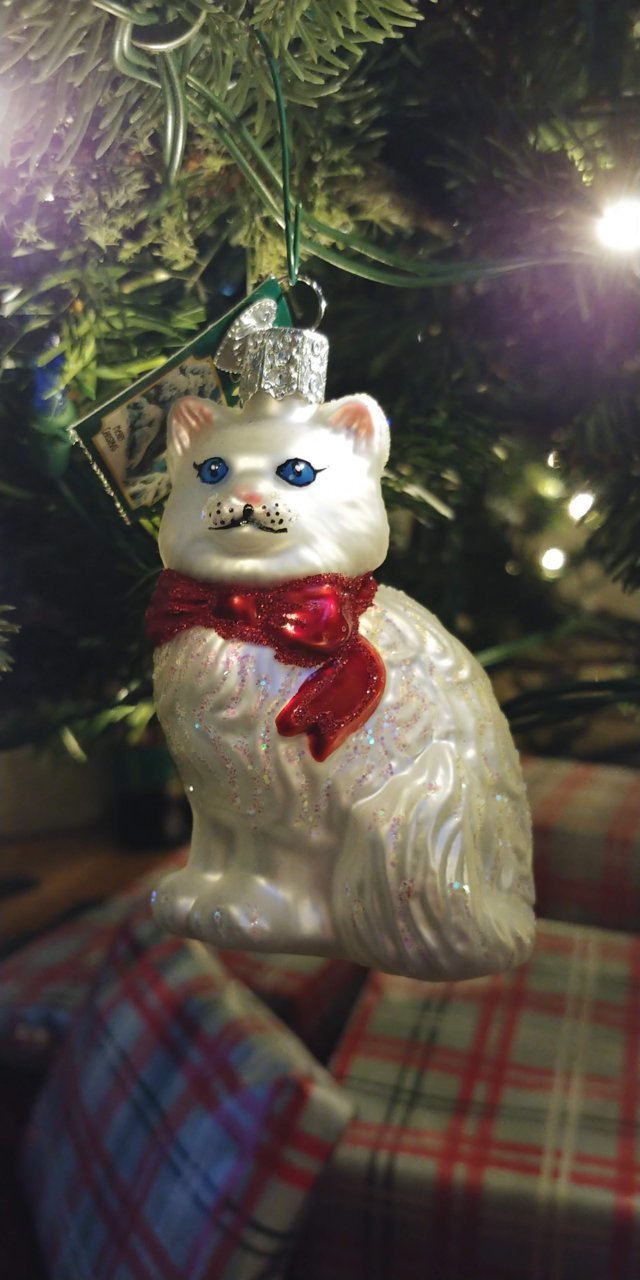20201222_094751.jpg