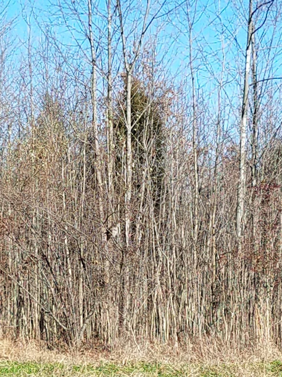 20201222_114338.jpg