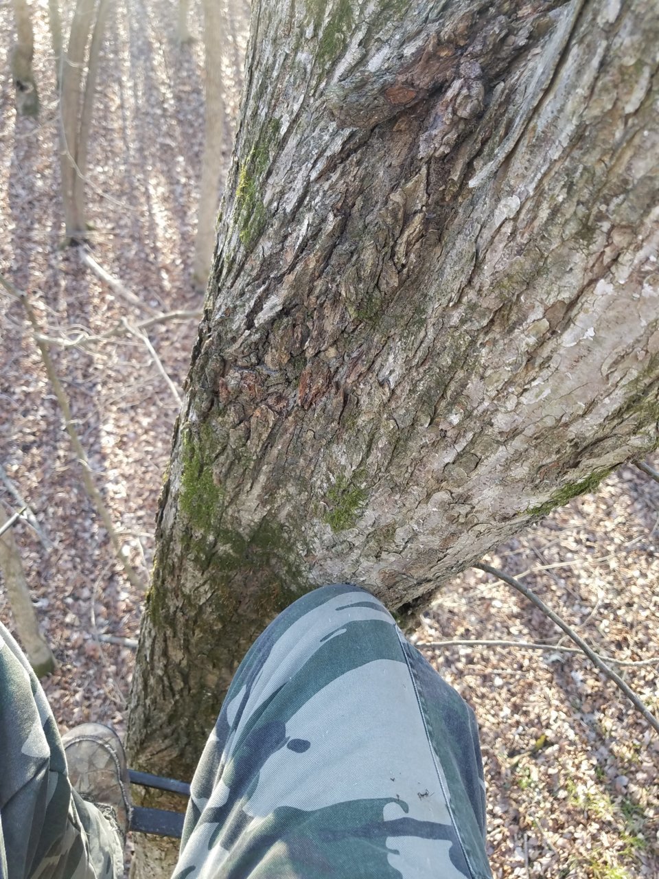 20201222_144841.jpg