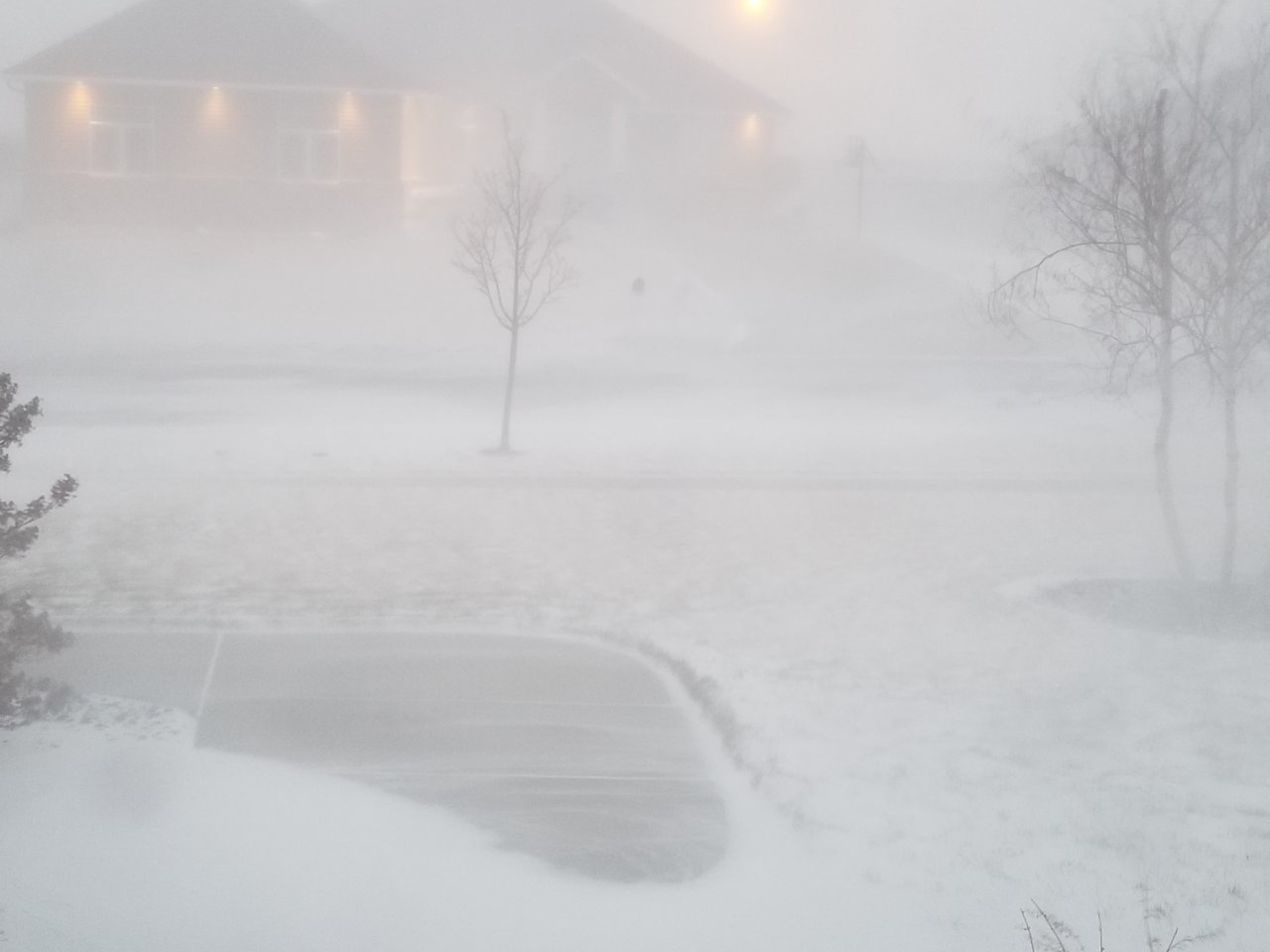 20201223_075921.jpg