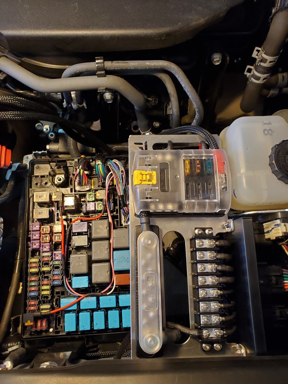 20201223_093230.jpg