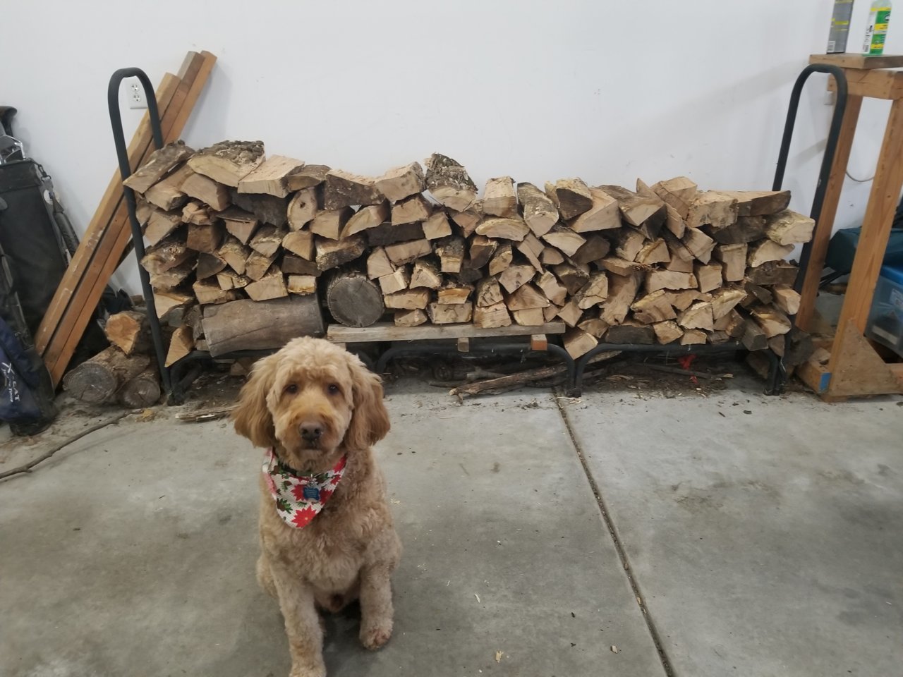 20201223_101529.jpg