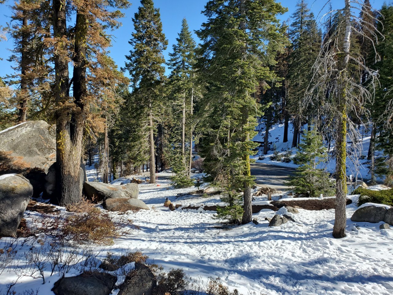 20201223_113254.jpg