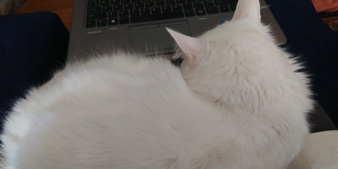 20201223_113545.jpg