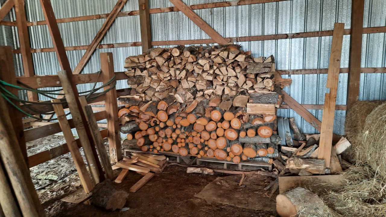 20201223_121510.jpg