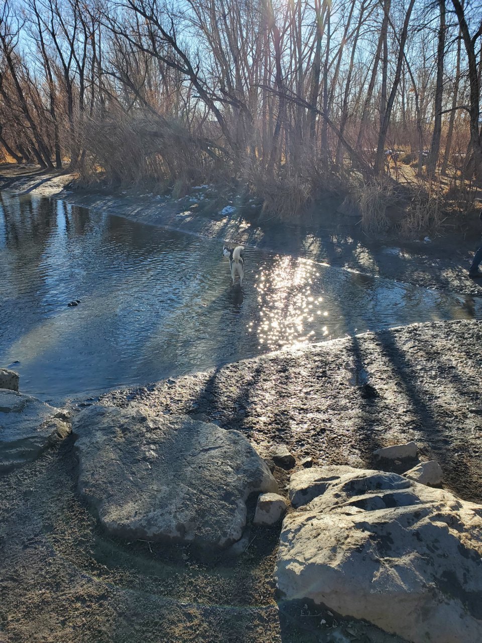 20201224_142513.jpg