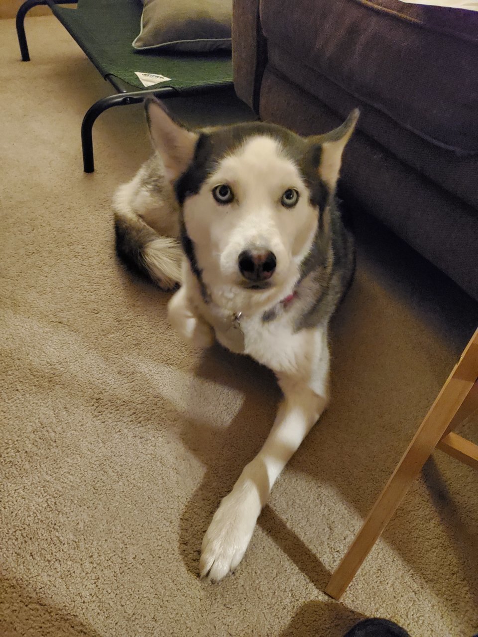 20201224_184250.jpg