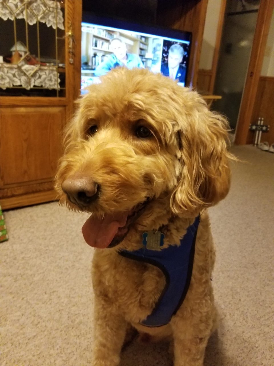 20201224_203440.jpg