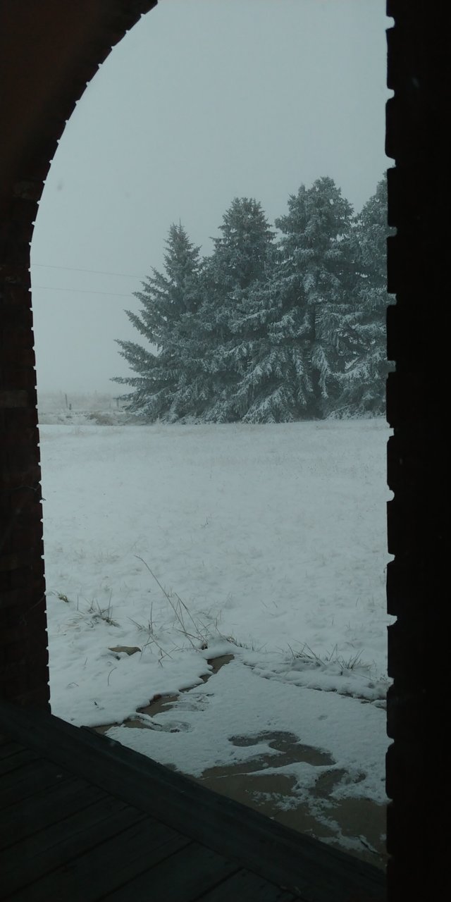 20201225_080900.jpg