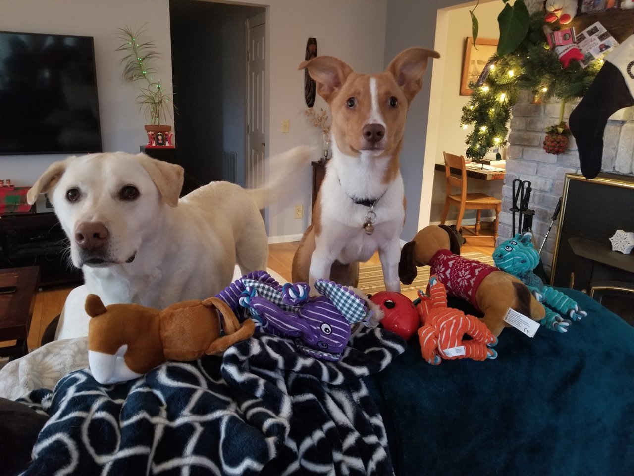 20201225_085036.jpg