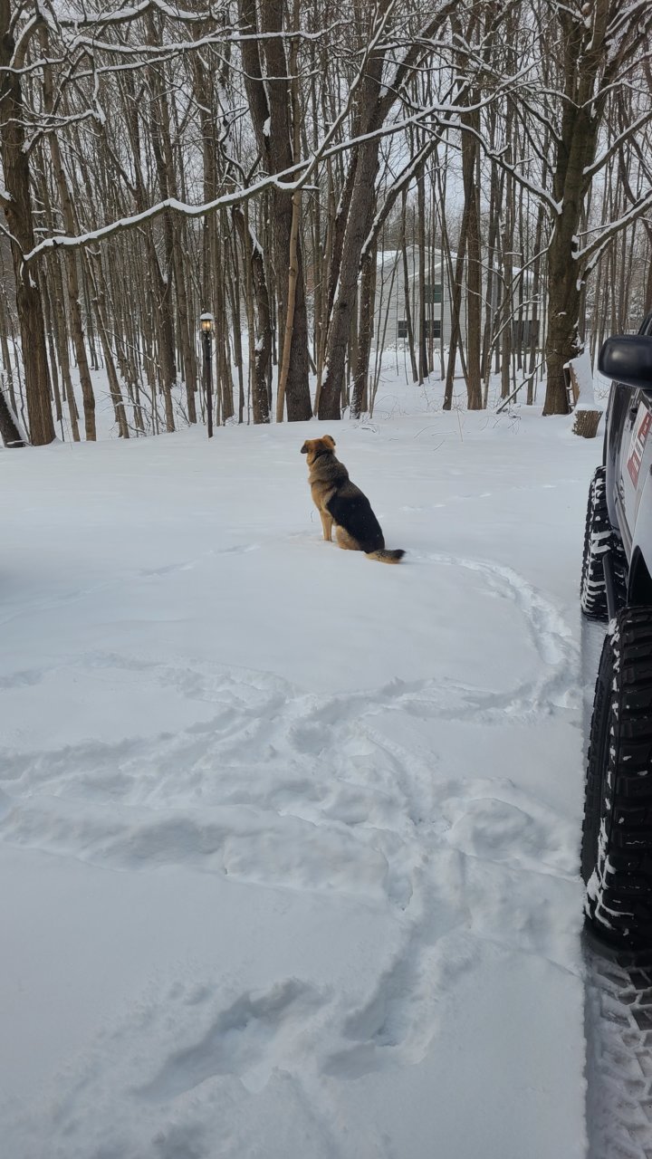 20201225_112429.jpg